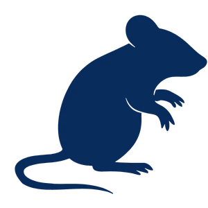 Mold Remediation Icon