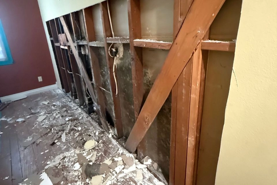 Mold Removal & Remediation-4
