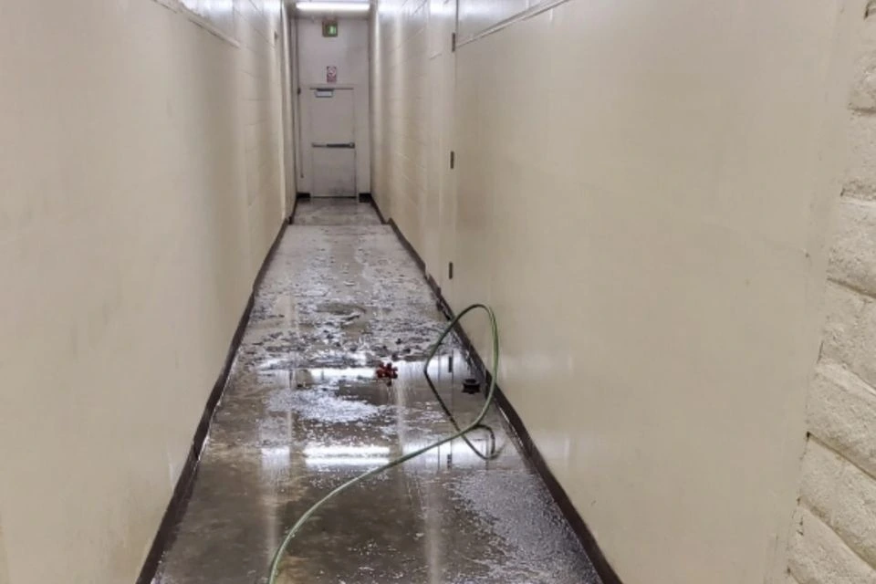 Sewage Cleanup